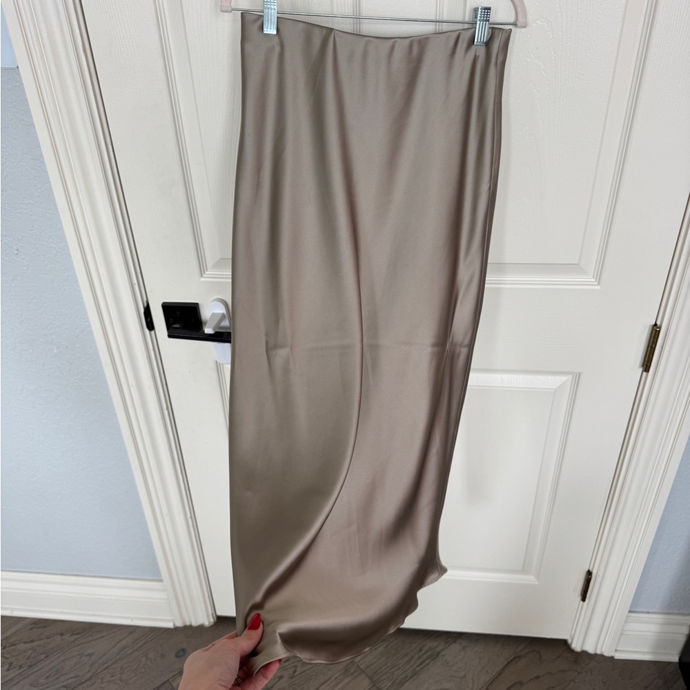 Zara Silk Skirt - Picture 7 of 7